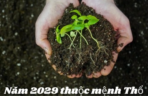 Người sinh trong năm 2029 mang mệnh Thổ