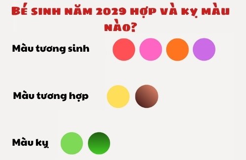 Người sinh năm 2029 sẽ hợp với các màu sắc thuộc hành Hoả và hành Thổ
