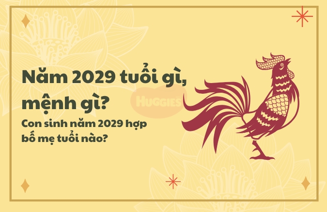 2029 mệnh gì