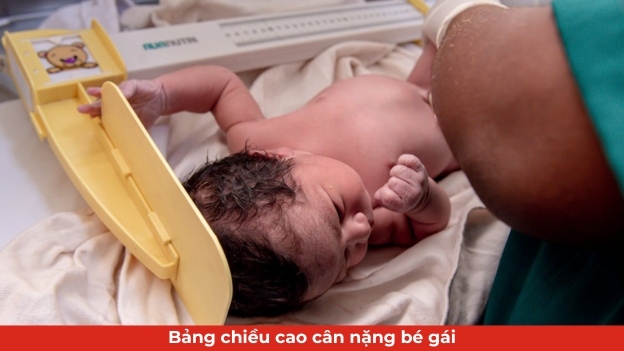 bang-chieu-cao-can-nang-be-gai-thumbnail