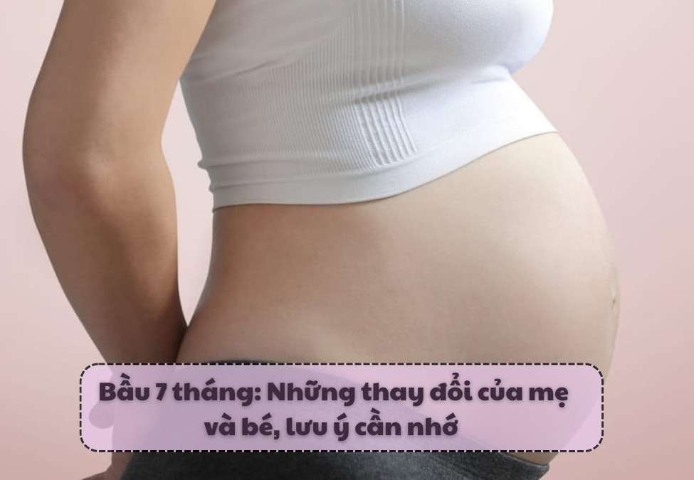 bau-7-thang-thumb