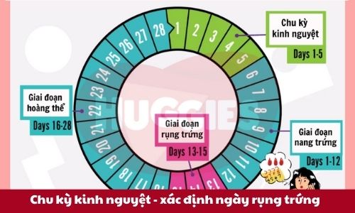 cach-tinh-ngay-rung-trung-thumb