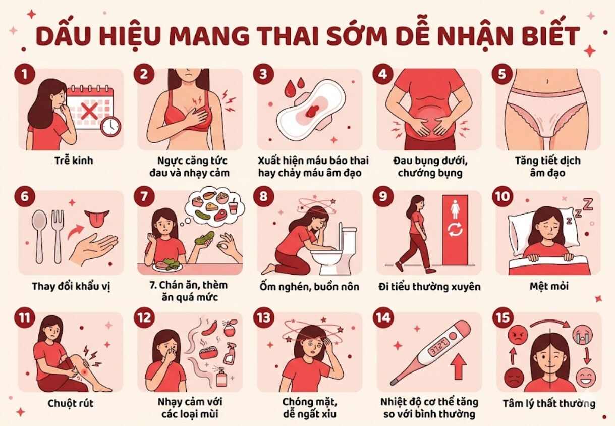 Các dấu hiệu có thai thường gặp