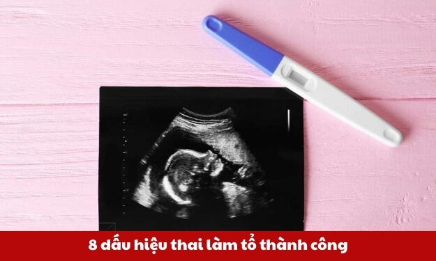 dau-hieu-thai-da-vao-tu-cung-thumb