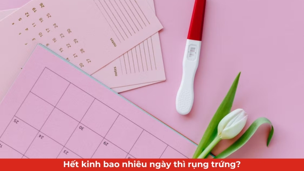 hết kinh bao nhiêu ngày thì rụng trứng