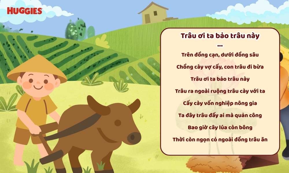 Lời bài hát Trâu ơi ta bảo trâu này hát ru cho bé 