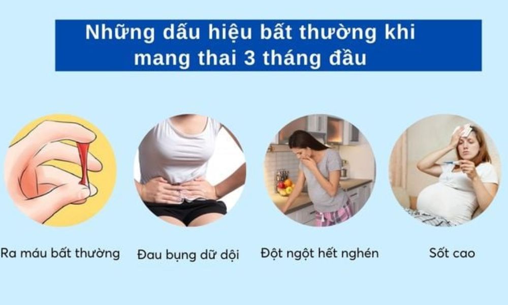 Mang thai 3 tháng đầu nên lưu ý gì?