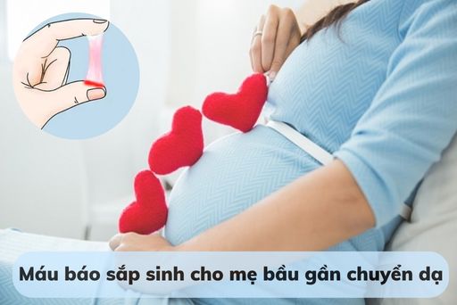 mau-bao-sap-sinh-thumbnail