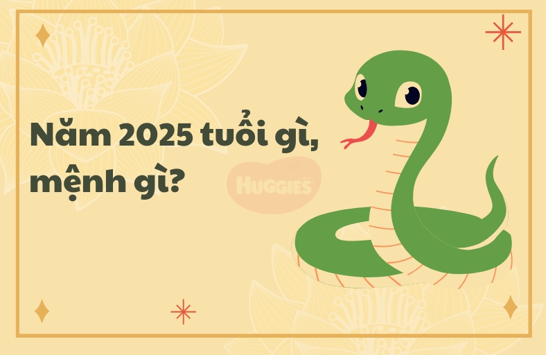nam-2025-la-nam-con-gi-menh-gi-thumb