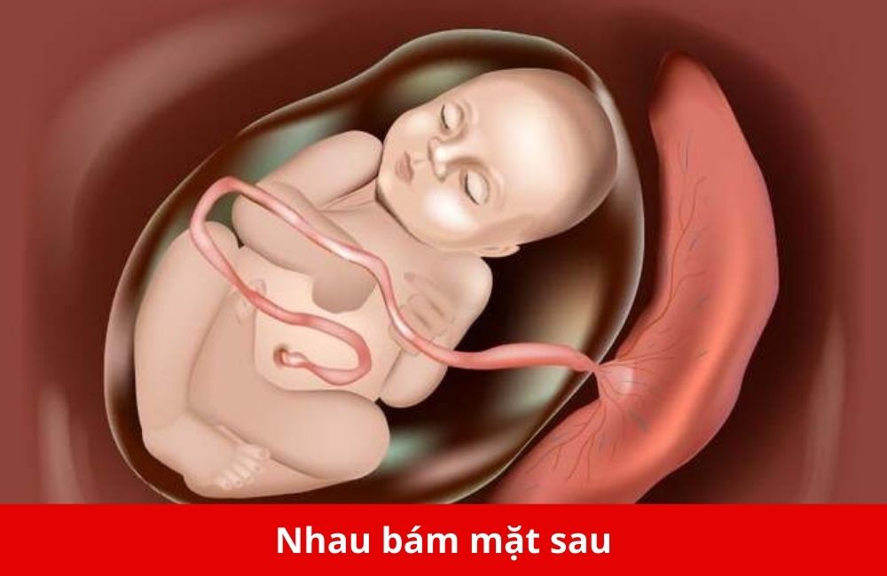 nhau bam mat sau thumb