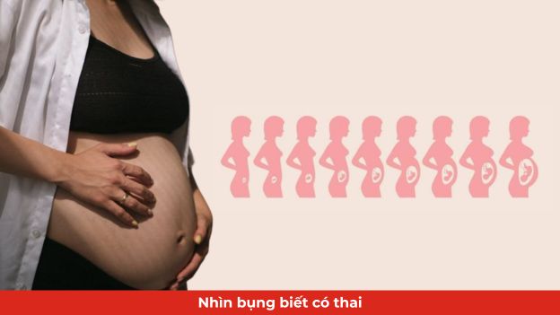 nhin bung biet co thai thumbn