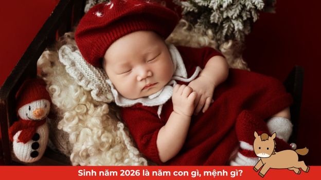 2029 mệnh gì