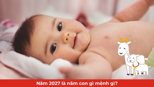 sinh-nam-2027-tuoi-gi-menh-gi-thumb-new
