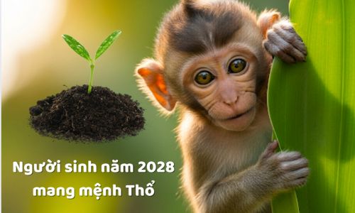 Năm 2028 là mệnh gì?