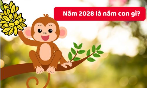 Năm 2028 là năm con gì?