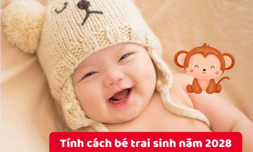 Tính cách của bé trai sinh năm 2028