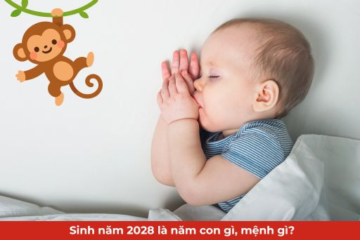 sinh nam 2028 la nam con gi menh gi thumb