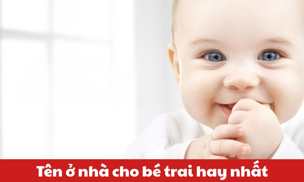 ten-o-nha-cho-be-trai-2024-thumb