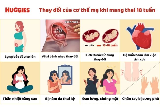 những thay đổi trên cơ thể mẹ bầu mang thai 18 tuần