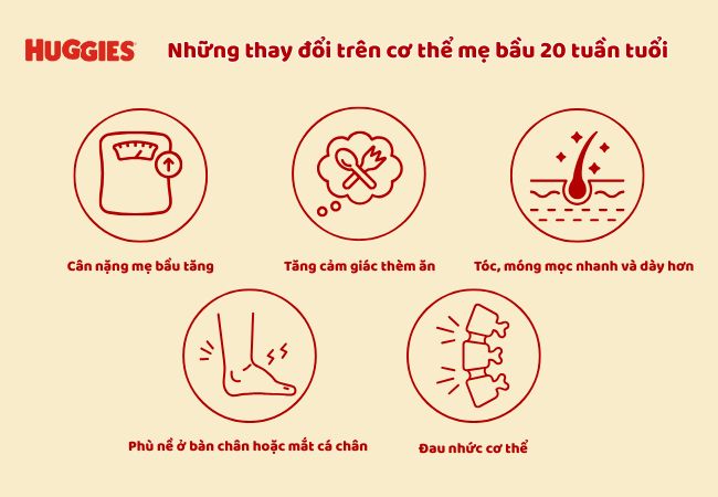 thay đổi trên cơ thể mẹ bầu khi mang thai 20 tuần