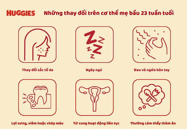 những thay đổi trên cơ thể mẹ bầu 23 tuần