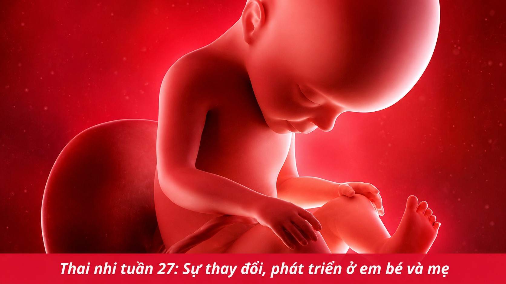 Những thay đổi thai nhi tuần thứ 27