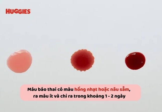 so sánh máu báo thai và máu kinh