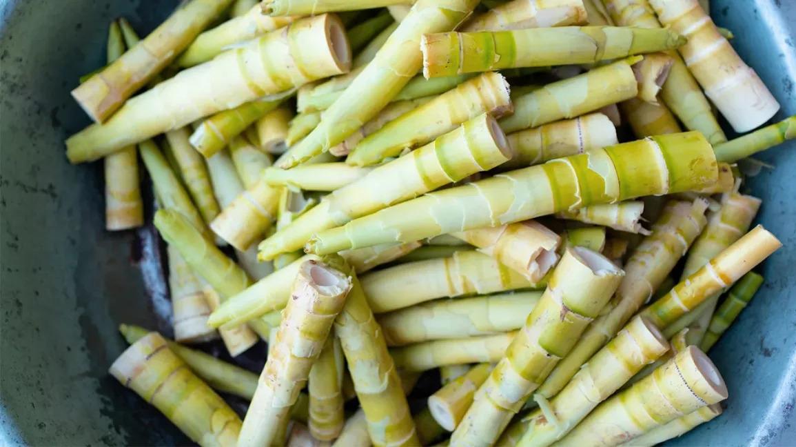 Bầu ăn măng được không