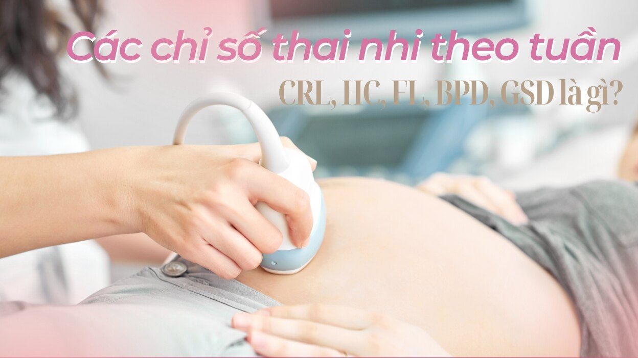 các chỉ số thai nhi theo tuần
