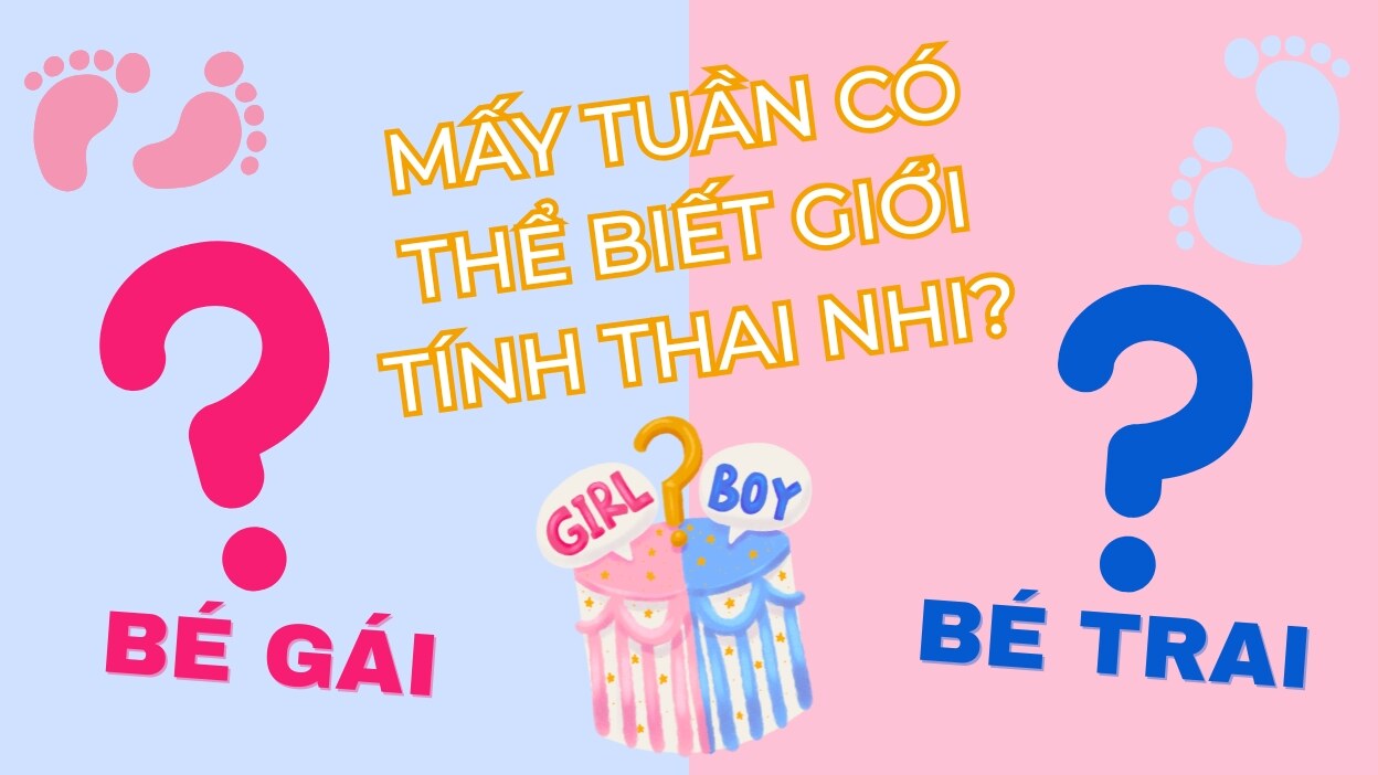 Đoán giới tính em bé sau 12 tuần mang thai