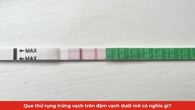 que thử rụng trứng vạch trên đậm vạch dưới mờ thumb