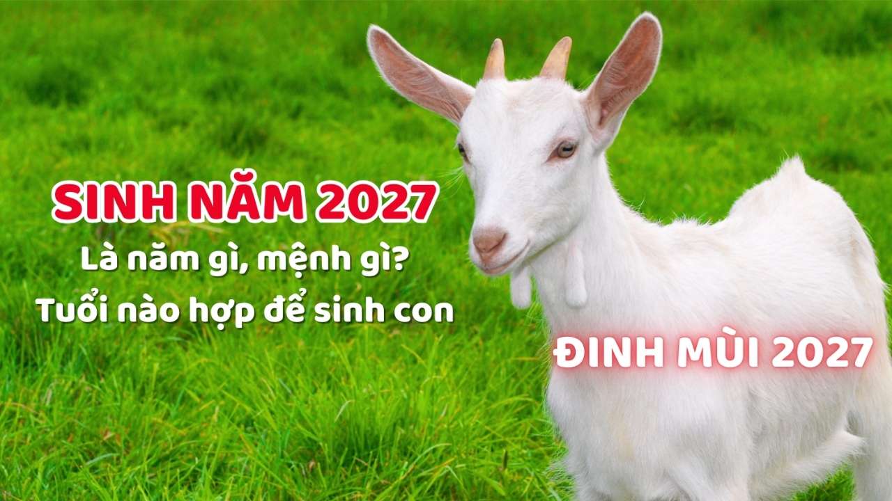 sinh-nam-2027-la-nam-con-gi-menh-gi-thumb