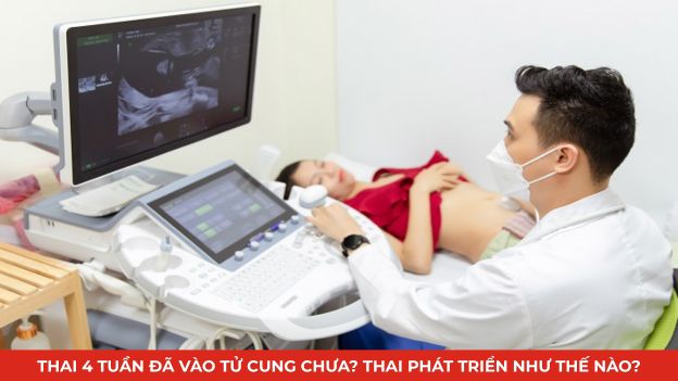 thai 4 tuần đã vào tử cung chưa thumb
