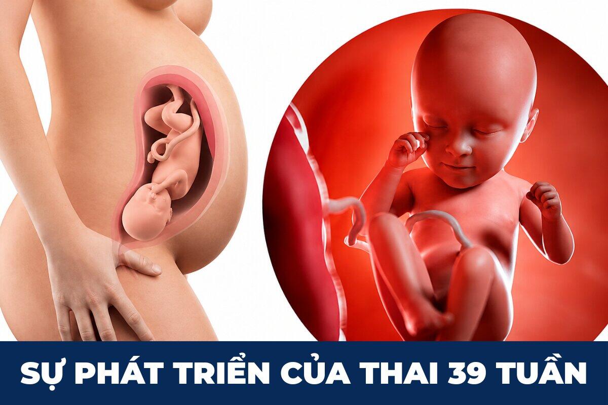 Những thay đổi thai nhi tuần thứ 39
