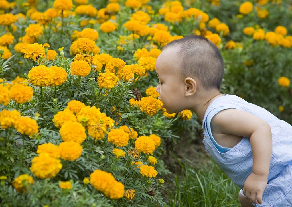 Những hành vi của bé tập đi