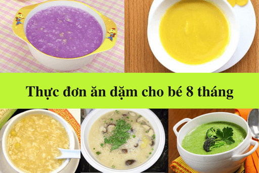 thuc don an dam cho be 8 thang