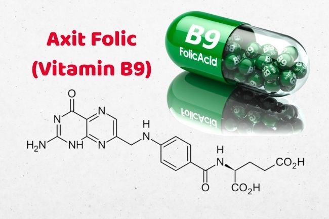 Acid Folic là gì?