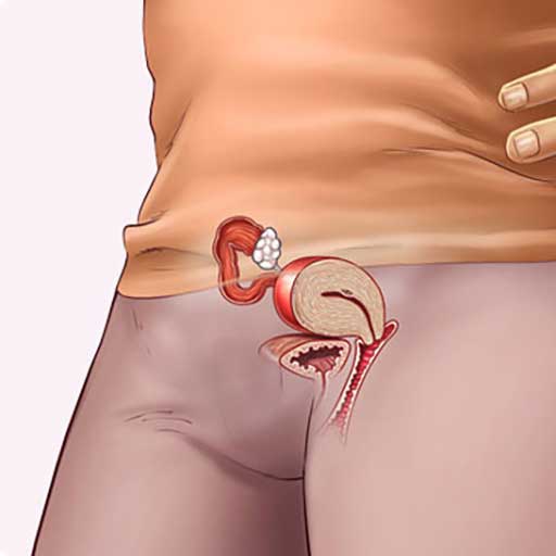 Những thay đổi của thai nhi tuần thứ 4