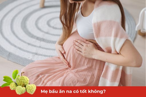 bà bầu ăn na có tốt không thumb