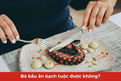 bầu ăn bạch tuộc được không thumb