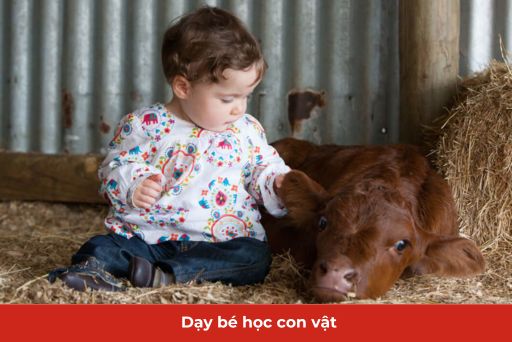 dạy bé học con vật thumb