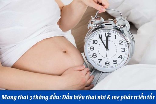 mang thai 3 thang dau new thumb