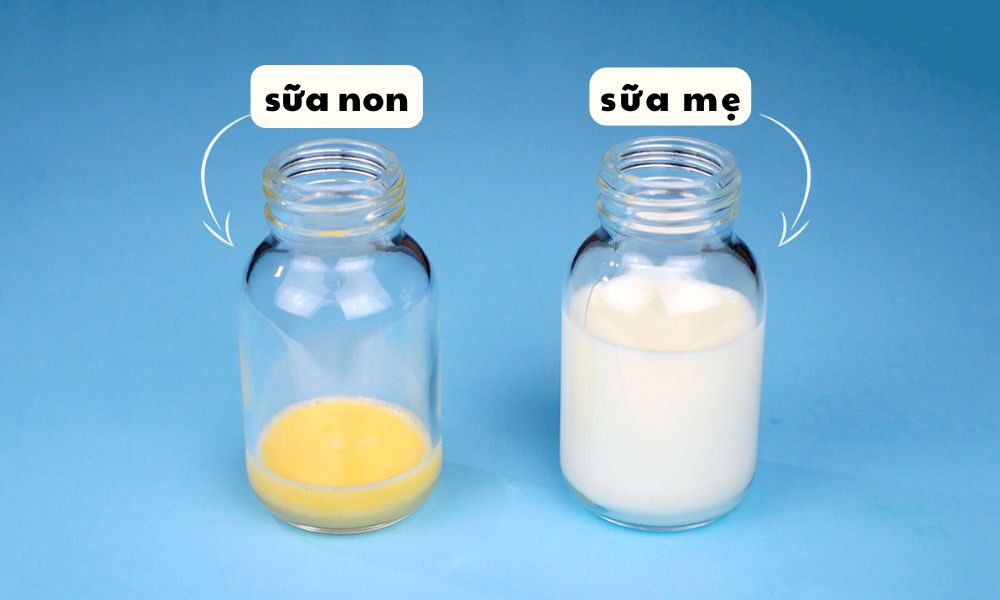 sữa non và sữa mẹ