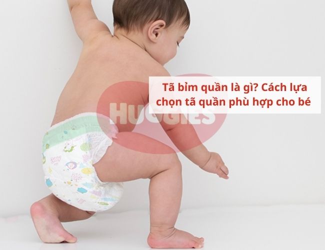 ta-bim-quan-la-gi-thumbnail