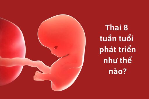 thai 8 tuan new thumb