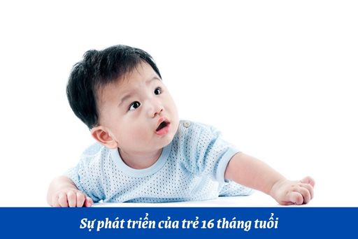 sự phát triển của trẻ 16 tháng tuổi