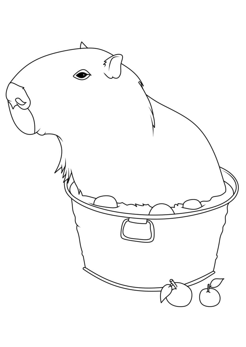 Tranh tô màu Capybara cute 2