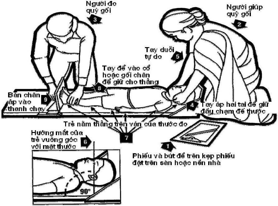 Các bước để đo cho bé ở tư thế đứng