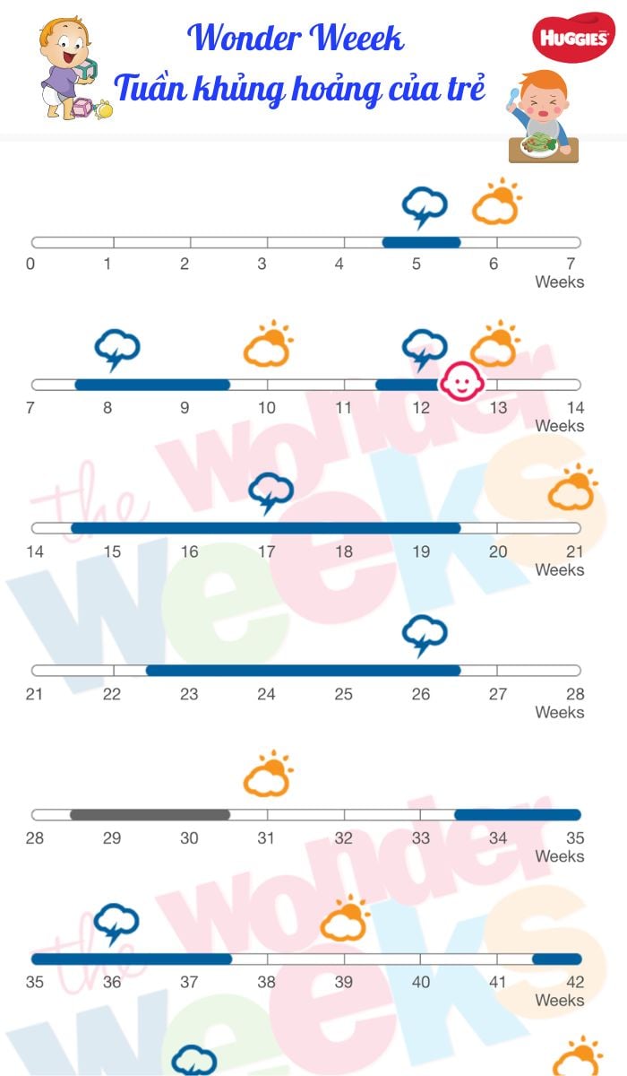 lịch wonder week của bé