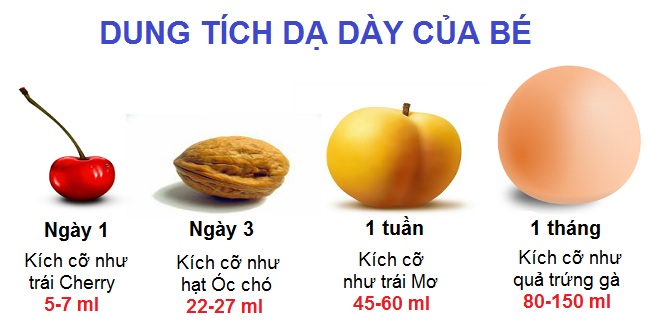 dung tích dạ dày của bé